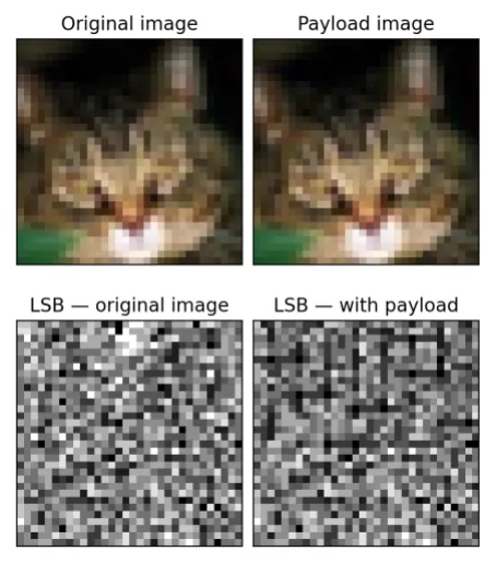 Figure from the paper: a cover image and its payload-injected twin look identical, but their isolated least-significant-bit planes differ visibly.